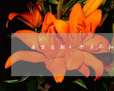 房贷逾期4个月不扣款 房贷逾期4个月不扣款