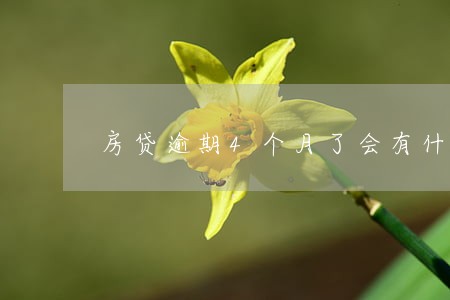 房贷逾期4个月了会有什么后果 房贷逾期4个月了会有什么后果