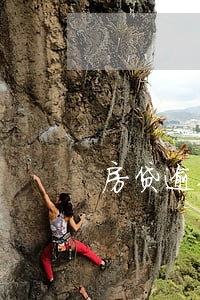 房贷逾期4个月全款结清 房贷逾期4个月全款结清