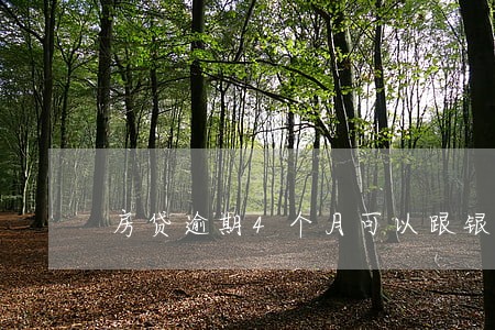 房贷逾期4个月可以跟银行协商吗 房贷逾期4个月可以跟银行协商吗