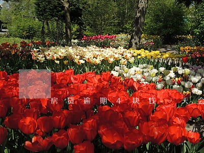 房贷逾期4块钱一天会上征信 房贷逾期4块钱一天会上征信