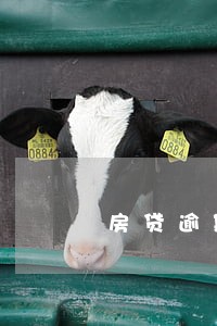 房贷逾期4天会上征信吗