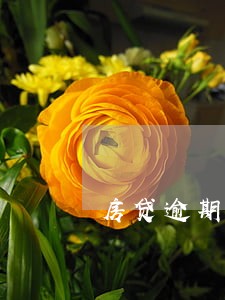 房贷逾期4天会有多少利息 房贷逾期4天会有多少利息