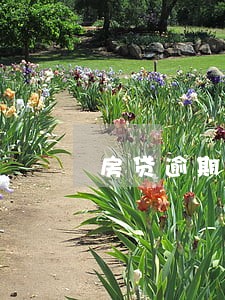 房贷逾期4天忘还了会影响信用吗 房贷逾期4天忘还了会影响信用吗