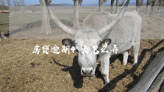房贷逾期4天怎么弄 房贷逾期4天怎么弄