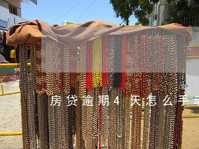 房贷逾期4天怎么手动还款 房贷逾期4天怎么手动还款