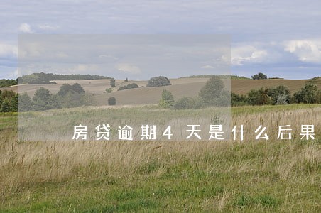 房贷逾期4天是什么后果 房贷逾期4天是什么后果