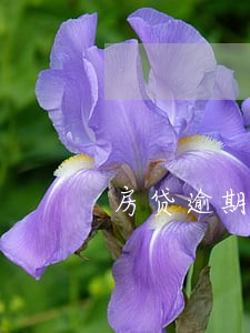 房贷逾期4天没有交有影响吗