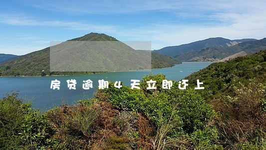房贷逾期4天立即还上