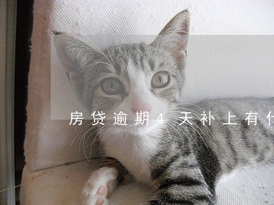 房贷逾期4天补上有什么后果 房贷逾期4天补上有什么后果
