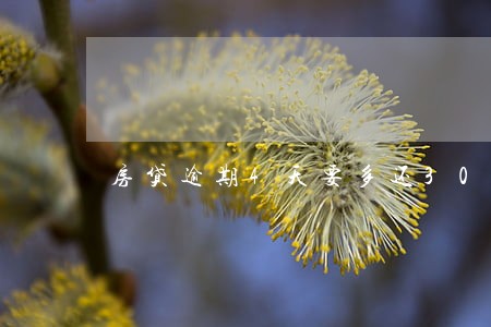 房贷逾期4天要多还3000 房贷逾期4天要多还3000