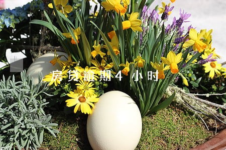 房贷逾期4小时 房贷逾期4小时