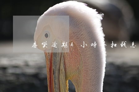 房贷逾期4小时不扣钱怎么办 房贷逾期4小时不扣钱怎么办