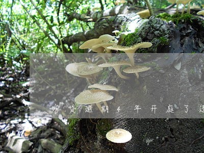 房贷逾期4年开庭了还能和解吗 房贷逾期4年开庭了还能和解吗