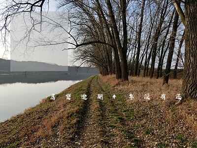 房贷逾期4年没有还 房贷逾期4年没有还