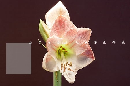房贷逾期4期被要求解除合同 房贷逾期4期被要求解除合同