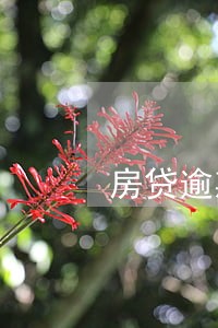 房贷逾期4次可以办理什么 房贷逾期4次可以办理什么