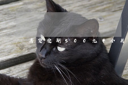 房贷逾期500元半个月 房贷逾期500元半个月