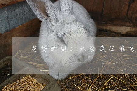 房贷逾期5天会疯狂催吗 房贷逾期5天会疯狂催吗