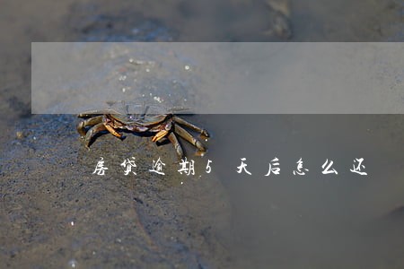 房贷逾期5天后怎么还 房贷逾期5天后怎么还