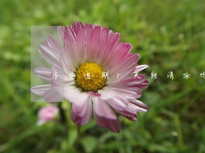 房贷逾期5天能消除吗 房贷逾期5天能消除吗