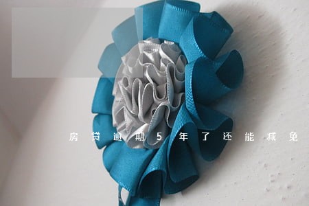 房贷逾期5年了还能减免吗