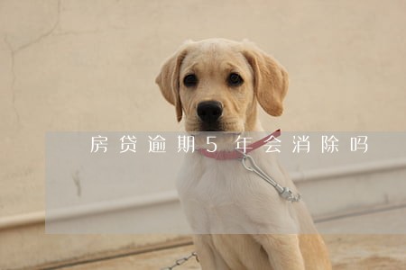 房贷逾期5年会消除吗
