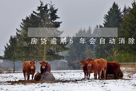 房贷逾期5年会自动消除吗 房贷逾期5年会自动消除吗