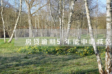 房贷逾期5年能申请减免利息吗 房贷逾期5年能申请减免利息吗