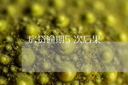 房贷逾期5次后果 房贷逾期5次后果
