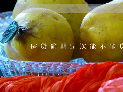 房贷逾期5次能不能贷款买房