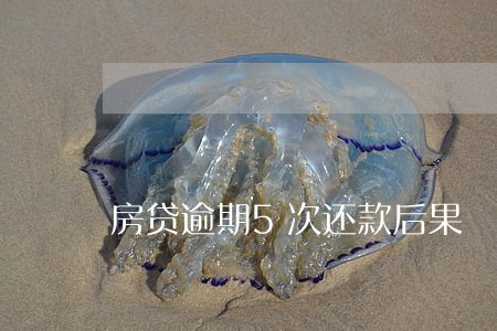 房贷逾期5次还款后果