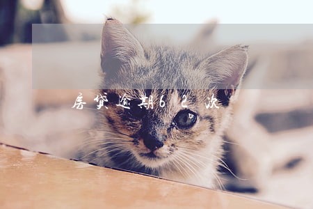 房贷逾期62次 房贷逾期62次