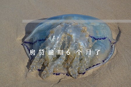 房贷逾期6个月了 房贷逾期6个月了