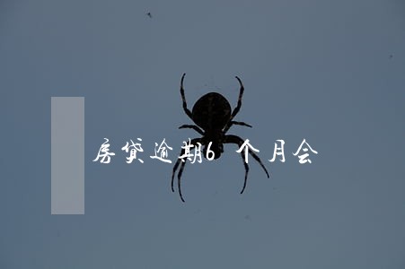 房贷逾期6个月会 房贷逾期6个月会