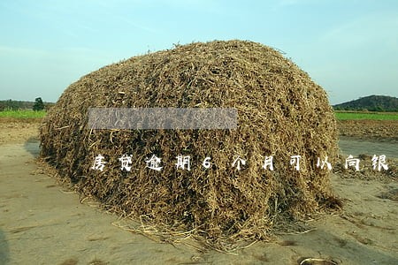 房贷逾期6个月可以向银行协商吗 房贷逾期6个月可以向银行协商吗