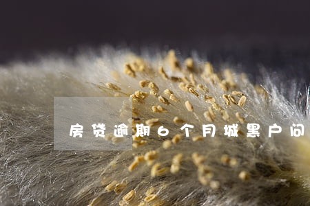 房贷逾期6个月城黑户问呢办 房贷逾期6个月城黑户问呢办