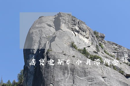 房贷逾期6个月滞纳金 房贷逾期6个月滞纳金