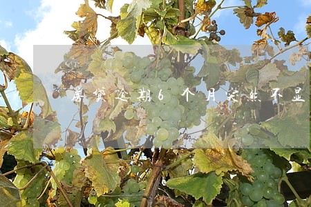 房贷逾期6个月突然不显示贷款了 房贷逾期6个月突然不显示贷款了