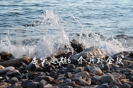 房贷逾期6个月补全款 房贷逾期6个月补全款