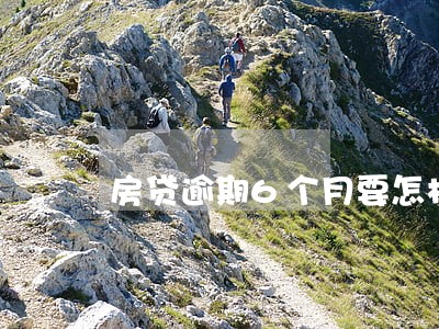 房贷逾期6个月要怎样解决 房贷逾期6个月要怎样解决