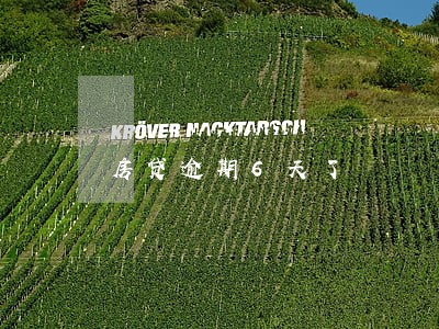房贷逾期6天了 房贷逾期6天了