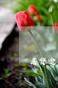 房贷逾期6天会怎么样 房贷逾期6天会怎么样