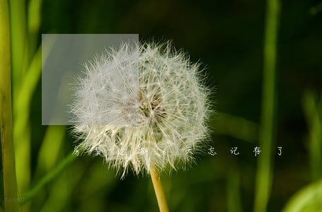 房贷逾期6天忘记存了 房贷逾期6天忘记存了