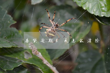 房贷逾期6天怎么消除 房贷逾期6天怎么消除
