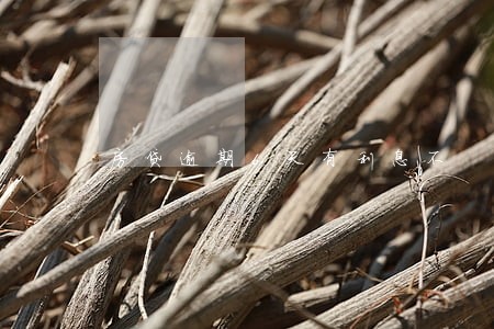 房贷逾期6天有利息不 房贷逾期6天有利息不