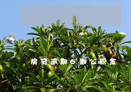 房贷逾期6期公积金 房贷逾期6期公积金