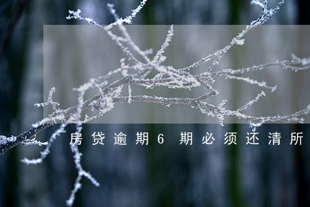 房贷逾期6期必须还清所有贷款嘛 房贷逾期6期必须还清所有贷款嘛