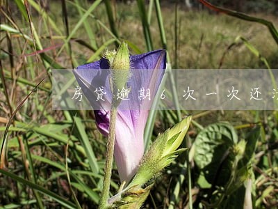 房贷逾期6次一次还清能消除吗 房贷逾期6次一次还清能消除吗