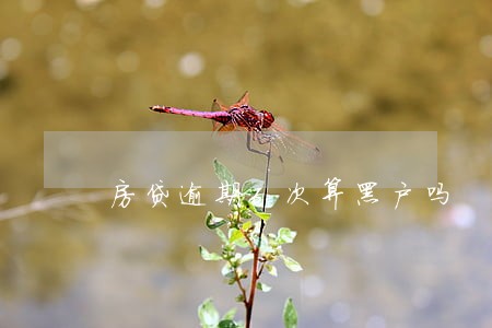房贷逾期6次算黑户吗 房贷逾期6次算黑户吗